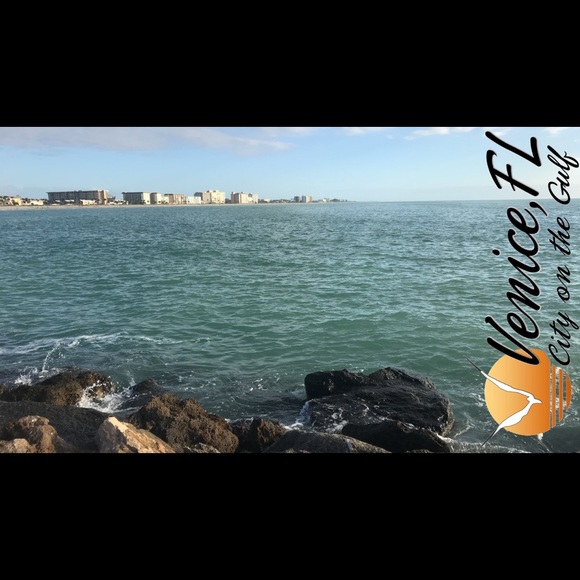 Meet your Posher, Emma - Picture 1 of 1